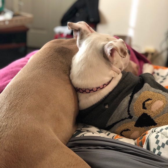 Meet your Posher, Monica - Picture 1 of 1